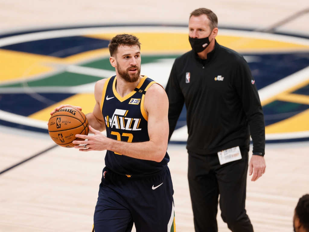 这一机制不 这一机制不