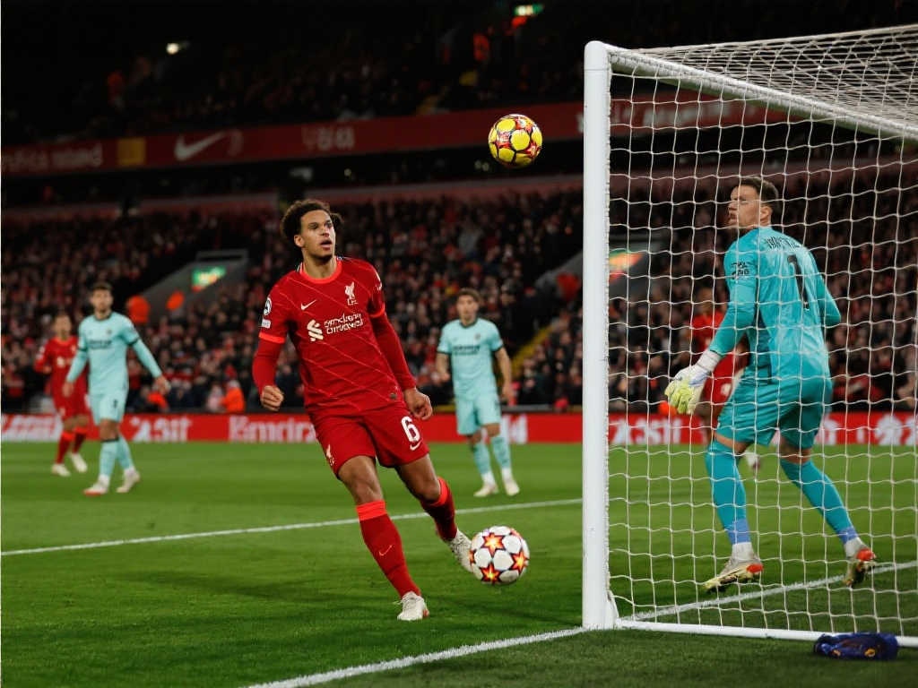 顶级的羽毛 顶级的羽毛