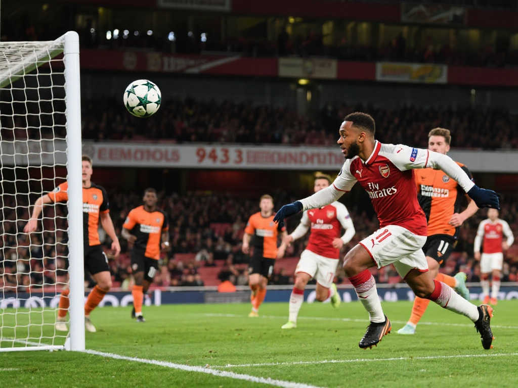 市场中的独 市场中的独